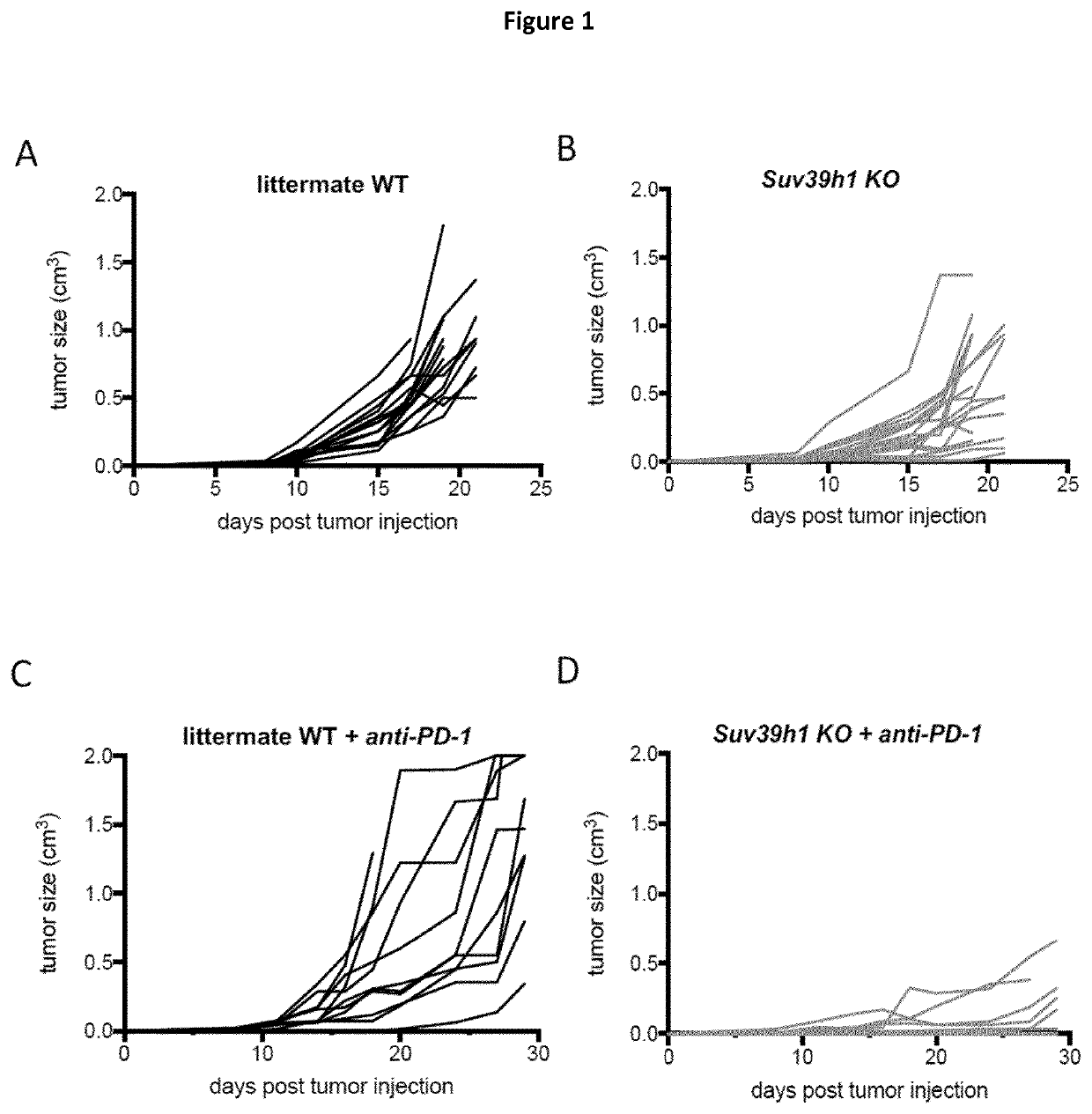 Inhibitor of suv39h1 histone methyltransferase for use in cancer combination therapy