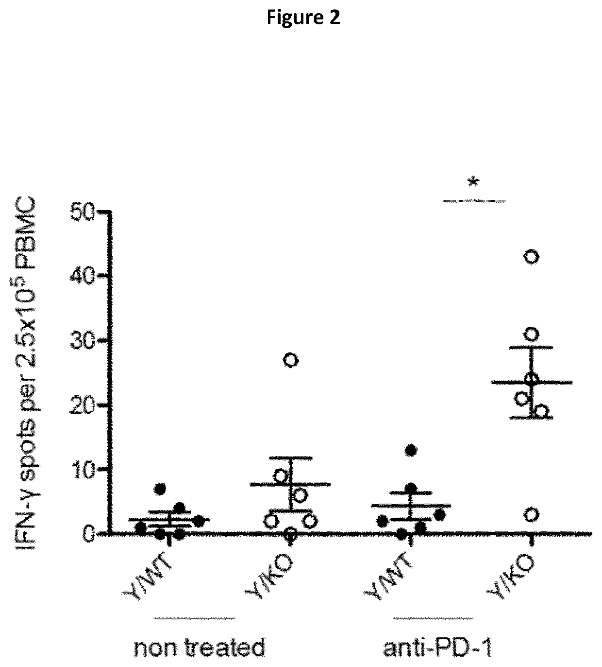 Inhibitor of suv39h1 histone methyltransferase for use in cancer combination therapy