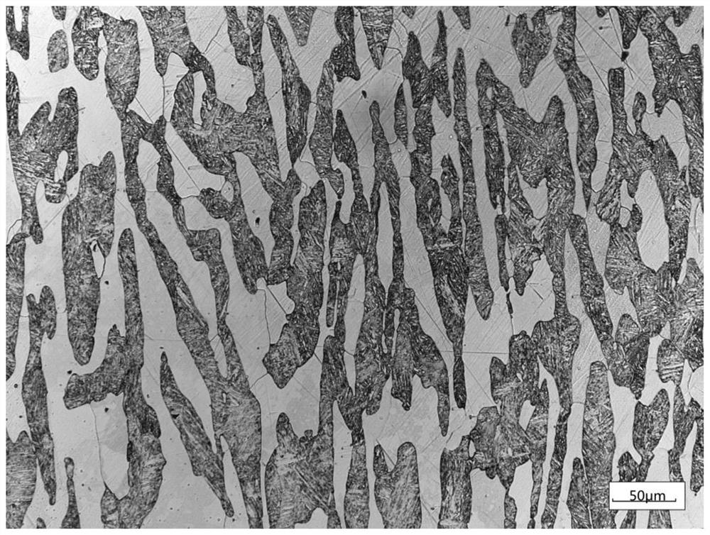 A kind of metallographic etchant for dual-phase medium manganese steel and method for displaying metallographic structure