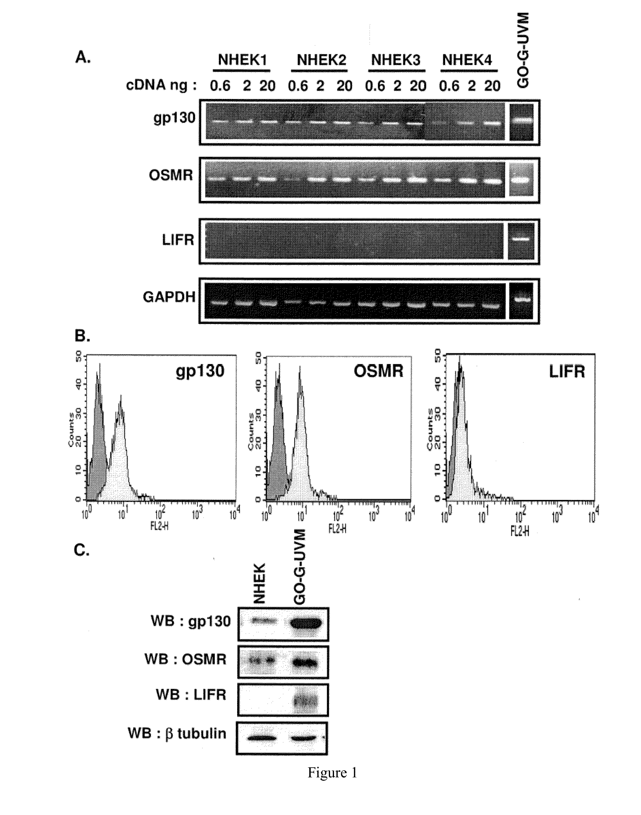 Compositions and methods for enhancing epidermal repair and cutaneous innate immunity