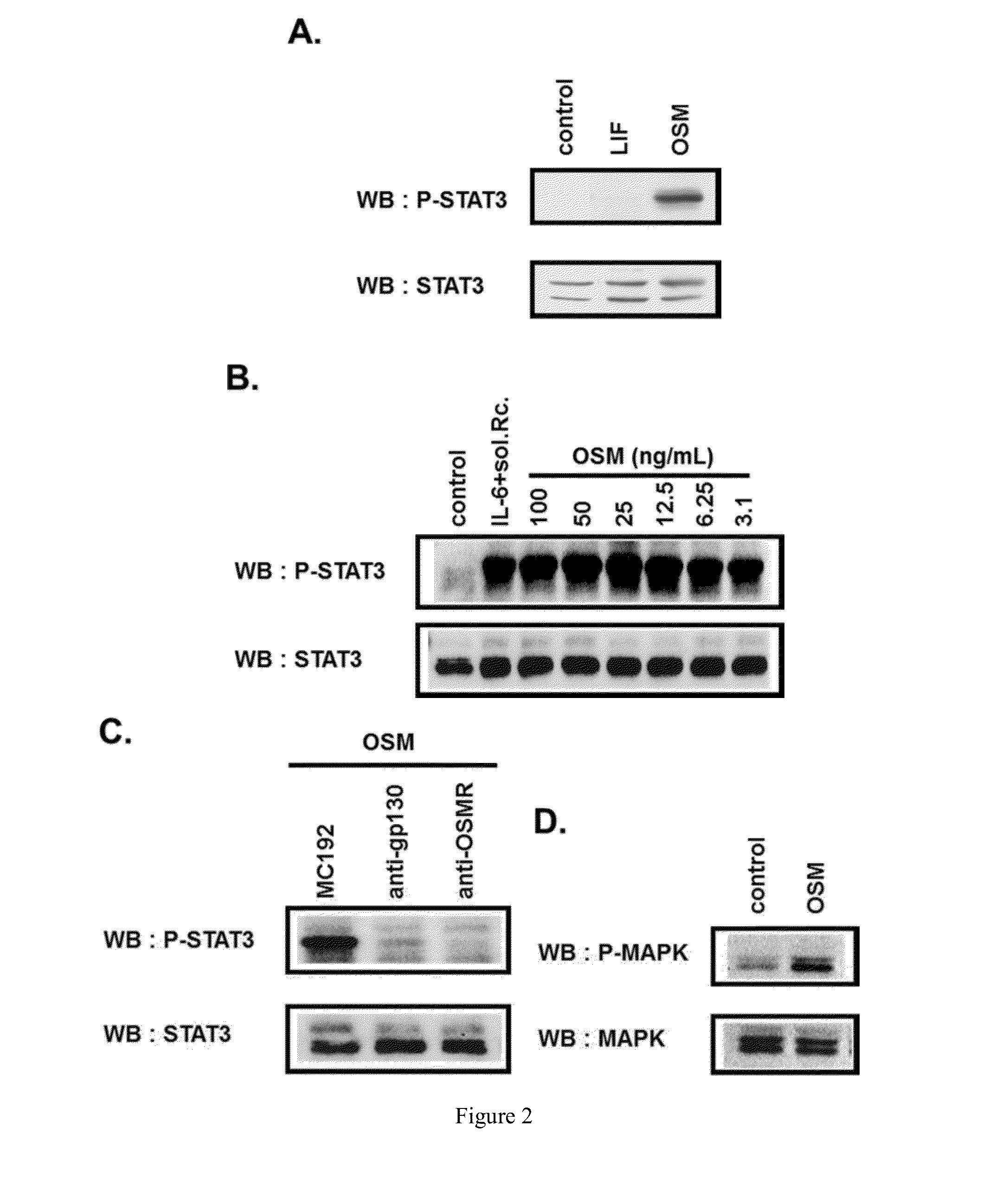 Compositions and methods for enhancing epidermal repair and cutaneous innate immunity