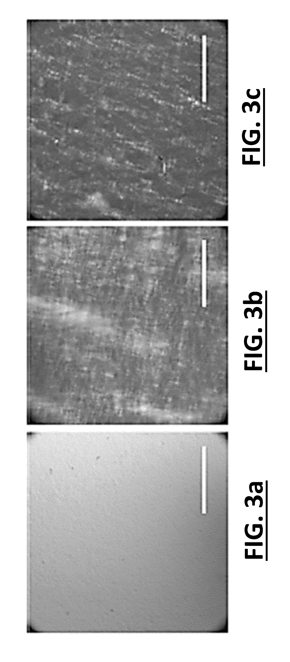 Reinforced Epoxy Nanocomposites and Methods for Preparation Thereof