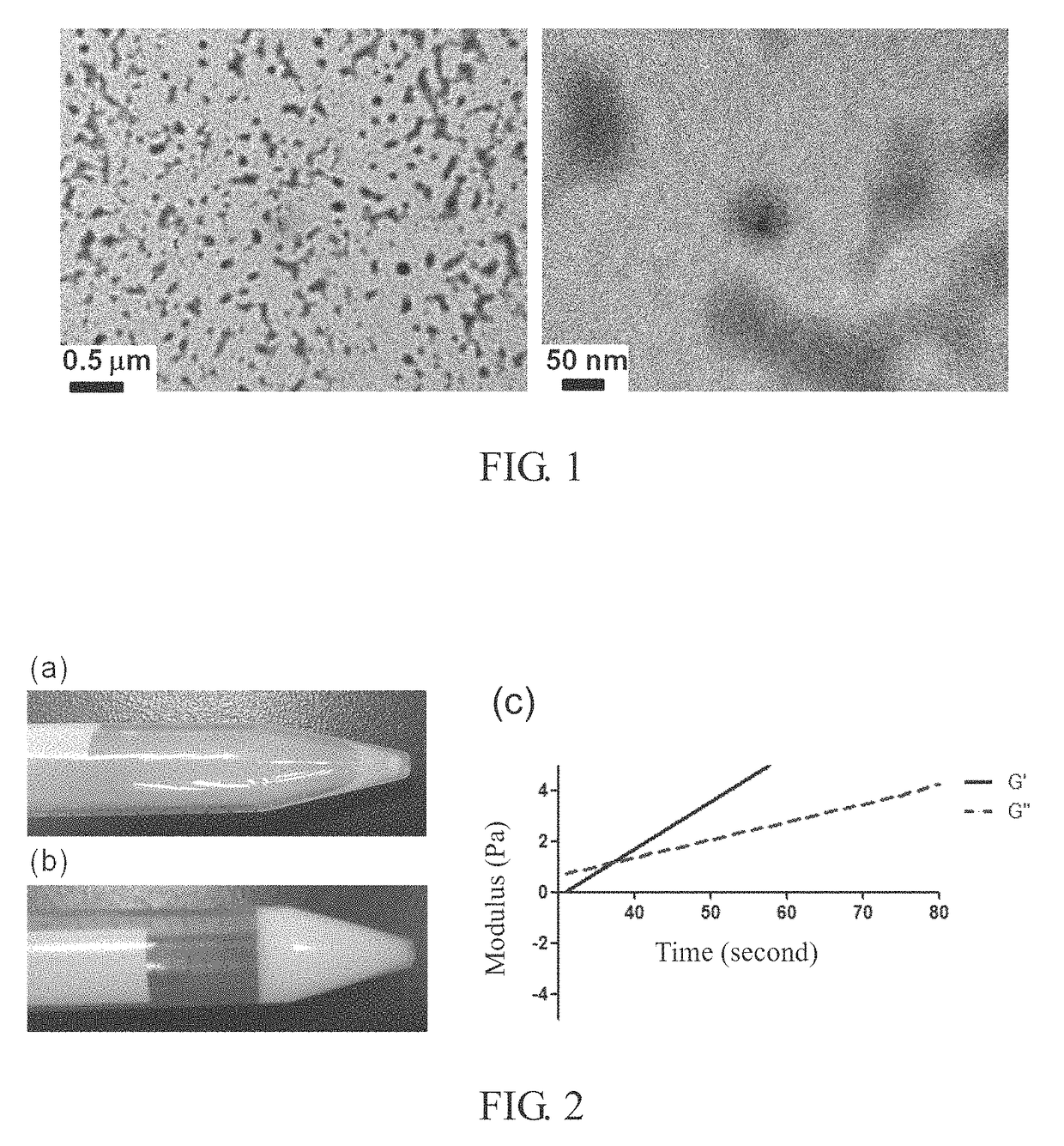 Biocompatible and biodegradable elastomer