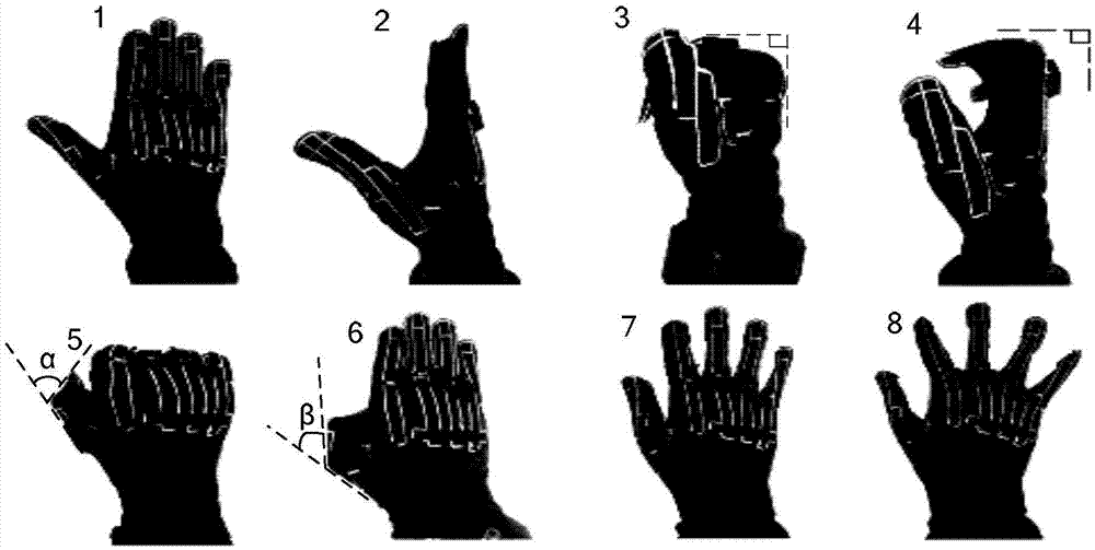 System and method for capturing hand movement function based on data glove and position tracker