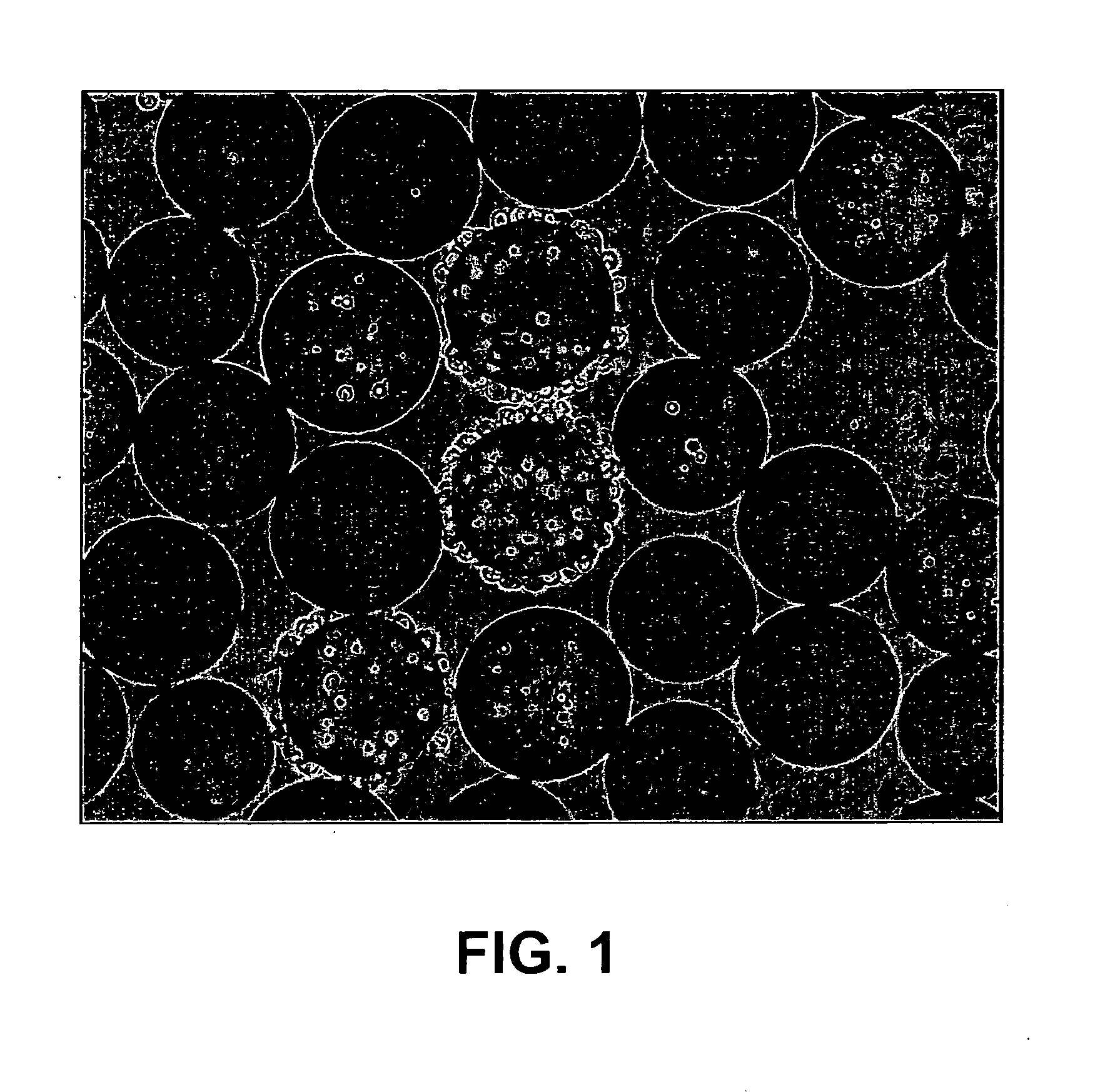 Rgd-containing cyclic peptides