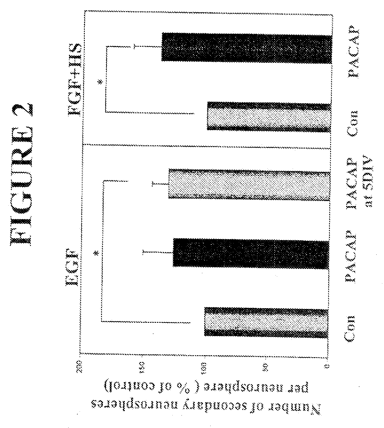 Method of Enhancing Neural Stem Cell Proliferation, Differentiation, and Survival Using Pituitary Adenylate Cyclase Activating Polypeptide (PACAP)