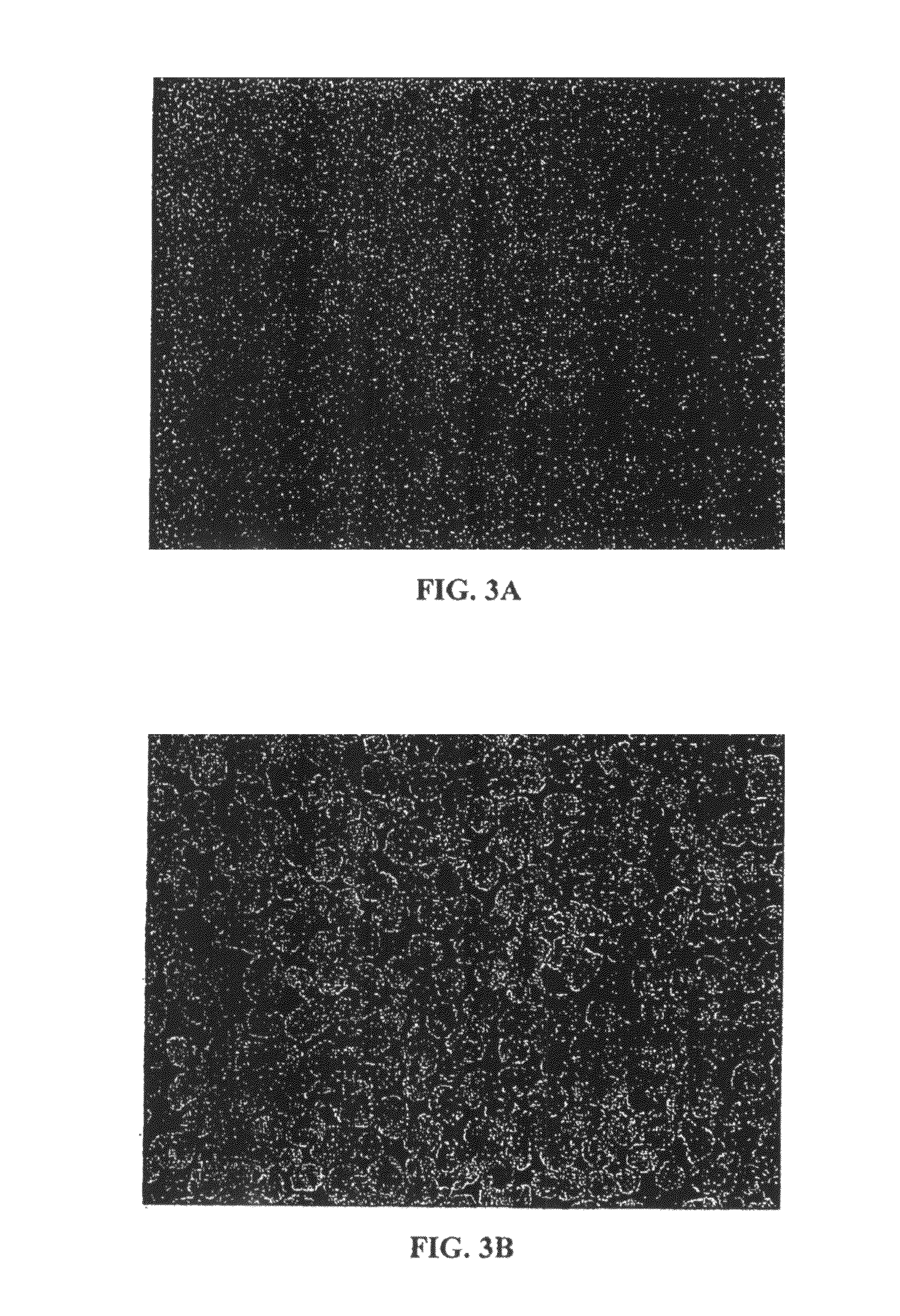 Oral dosage form comprising an antimisuse system