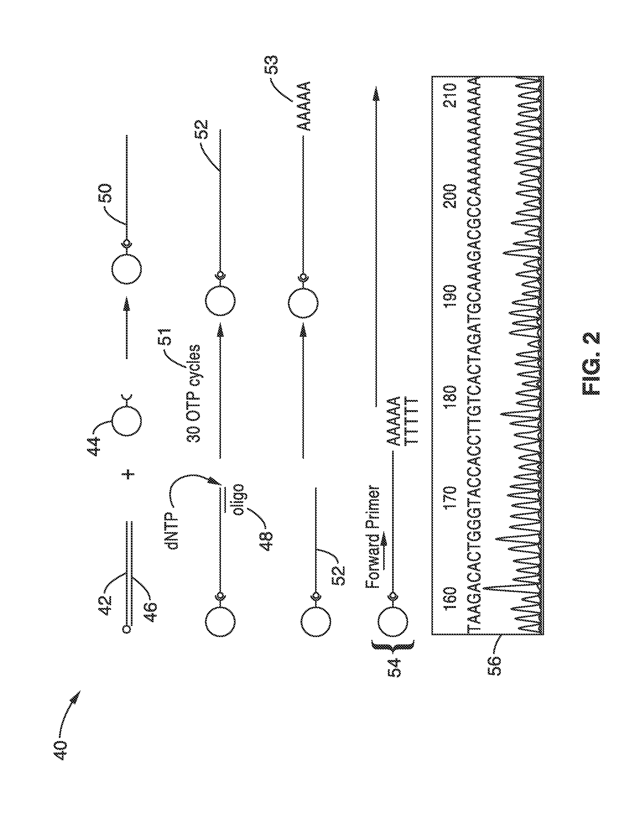 Methods and apparatus for nucleic acid synthesis using oligo-templated polymerization