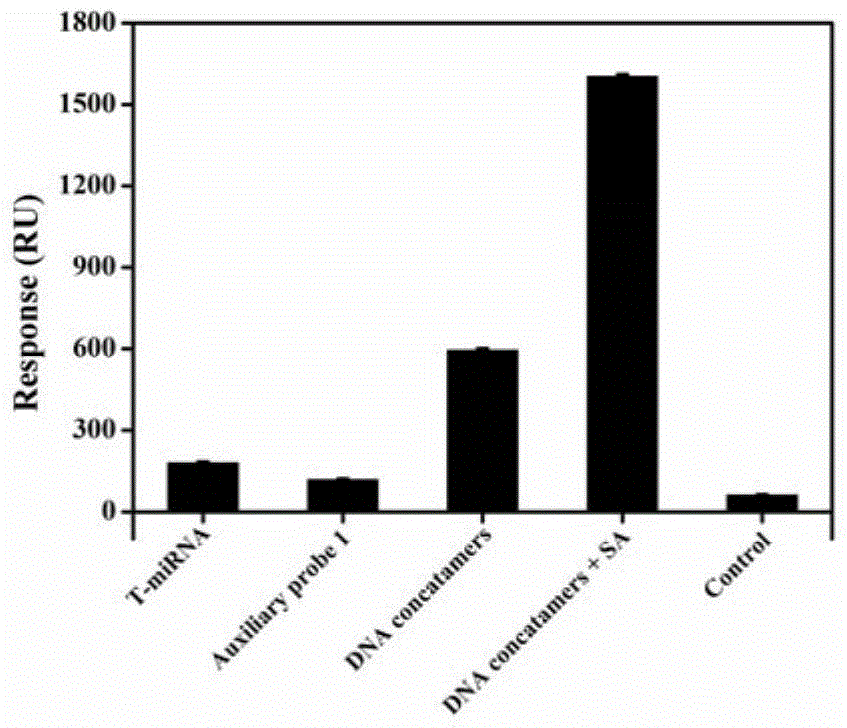 A surface plasmon resonance sensor and its preparation and application