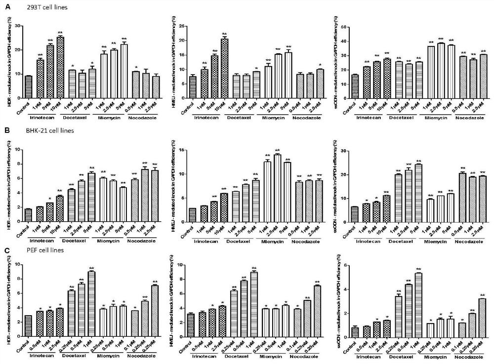 A method for improving the efficiency of genome-directed modification using small molecule compounds