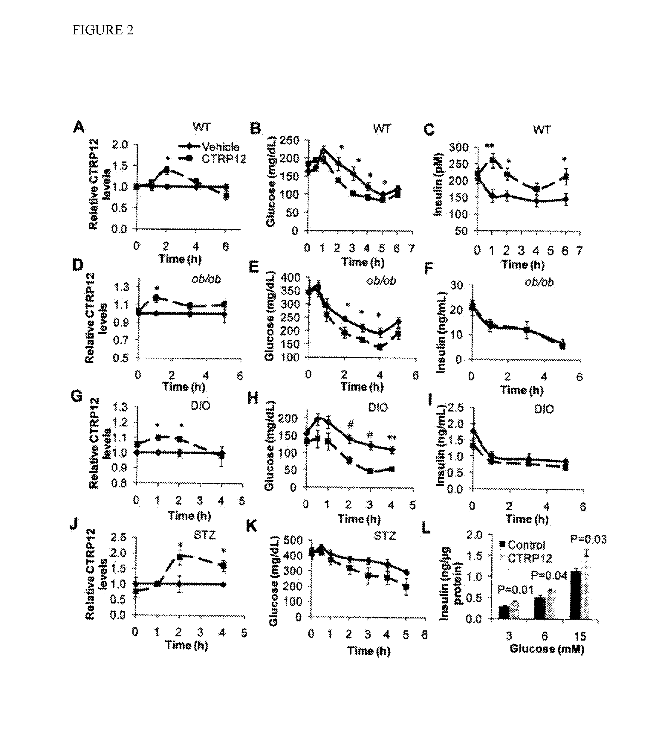 C1q/tnf-related protein 12 and compositions and methods of using same