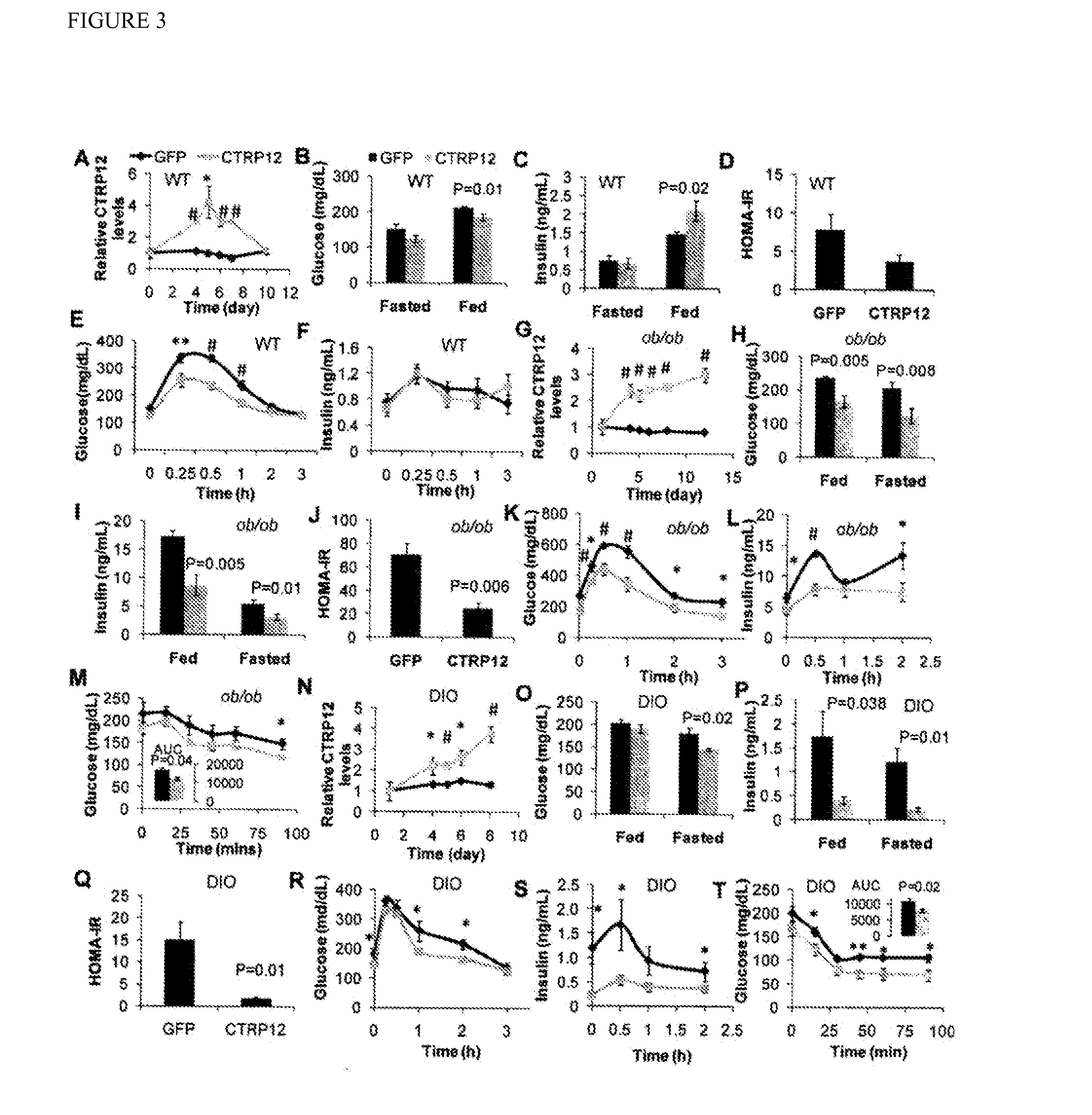 C1q/tnf-related protein 12 and compositions and methods of using same