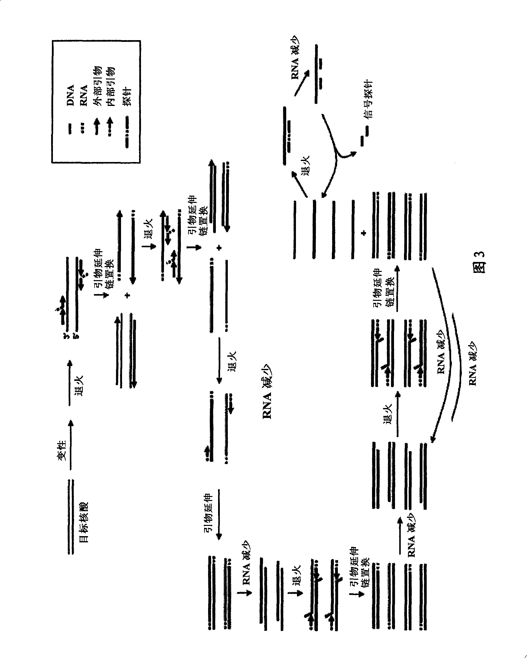 Method for isothermal amplification of nucleic acids and method for detecting nucleic acids using simultaneous isothermal amplification of nucleic acids
