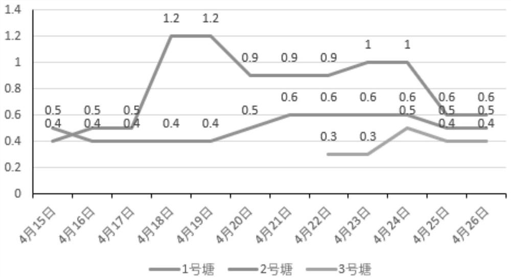 Shrimp biological functional feed rich in live bacteria and live enzymes and preparation method thereof