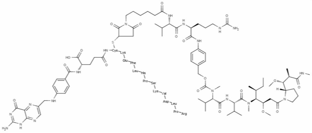 A multi-targeted ligand-drug conjugate with endocytosis-mediated function