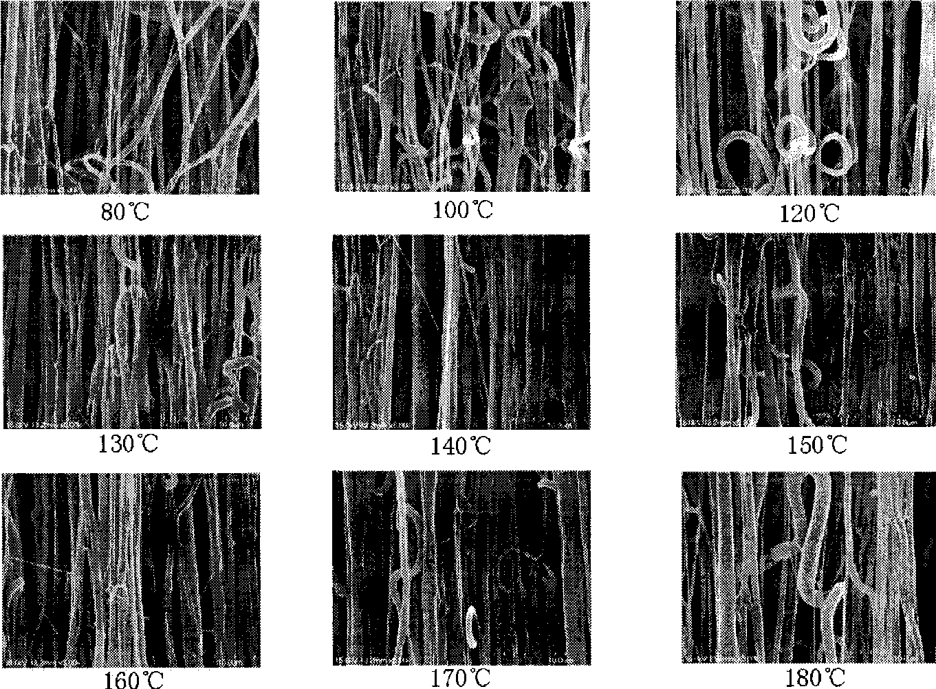 Spider silk protein/polylactic acid composite nano fibre yarn and preparation method thereof