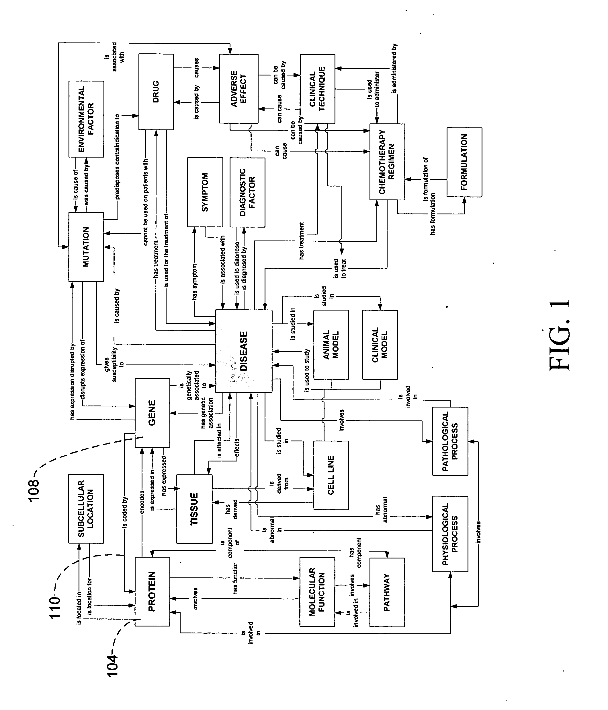 System and method for data extraction and management in multi-relational ontology creation