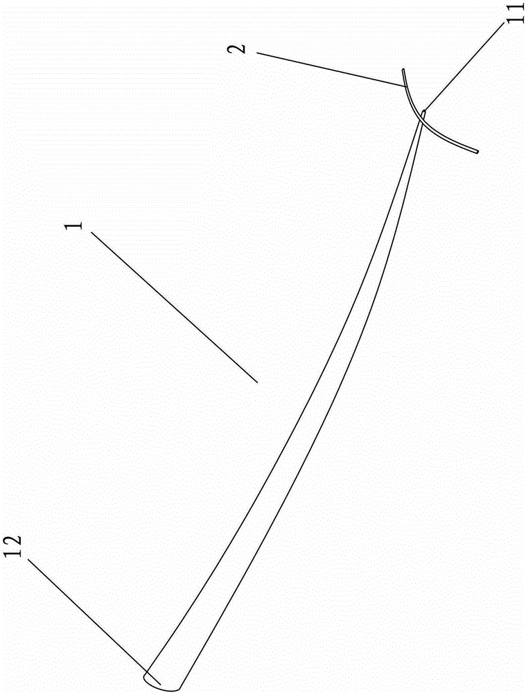 Microfluidic chip fluorescence excitation device, microfluidic chip and preparation method thereof