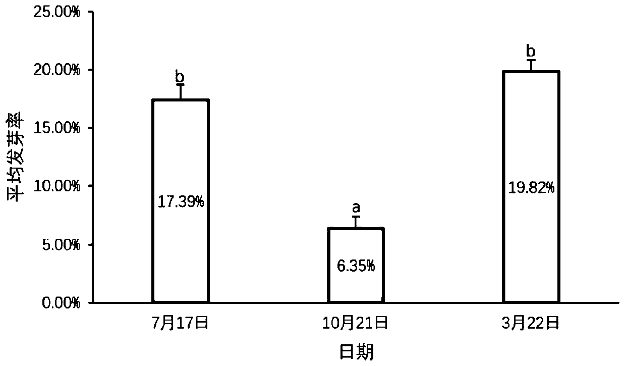 Under-forest cultivation method for Cymbidium faberi