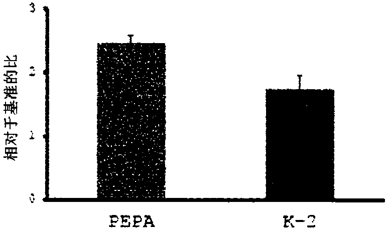 Novel compound that specifically binds to ampa receptor