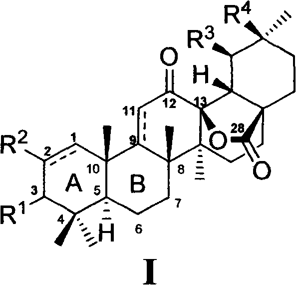 Pentacyclic triterpene-13,28-lactone compounds as well as preparation method and application thereof