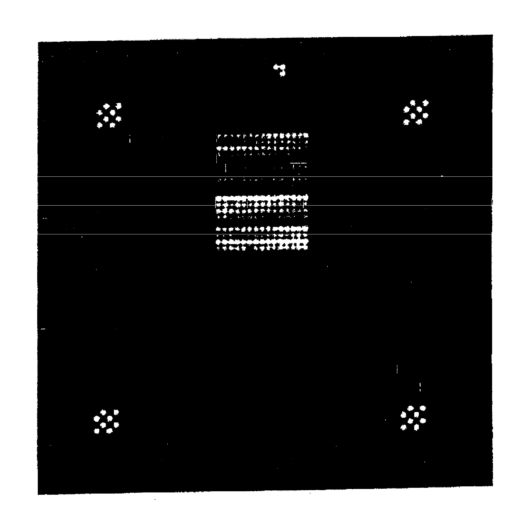 Method for Gridding and Quality Control of Polymer Arrays