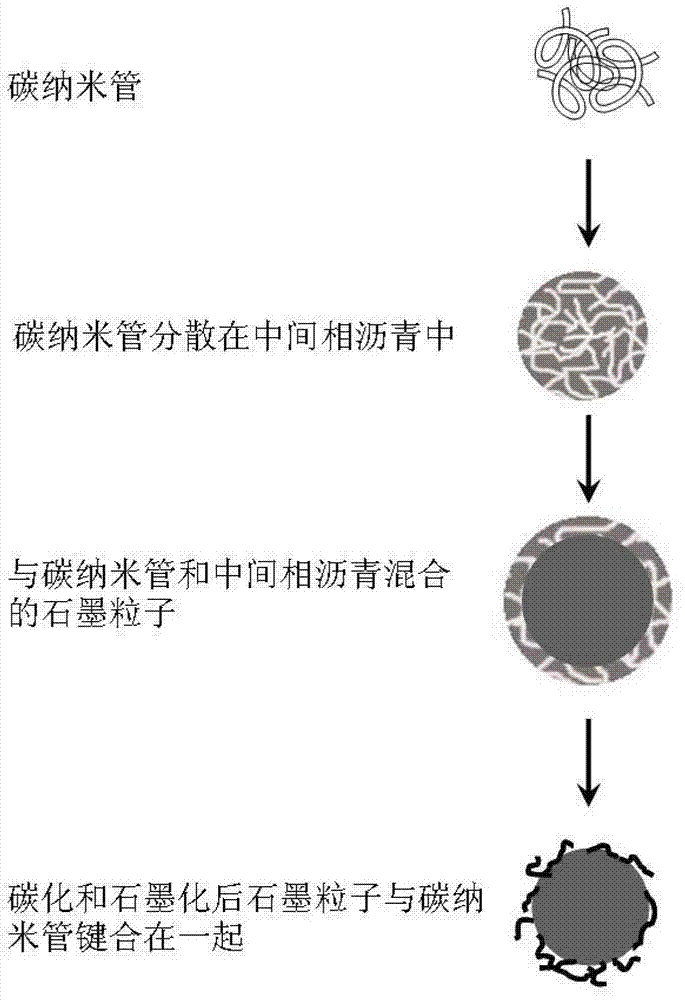 Modified battery anode with carbon nanotubes