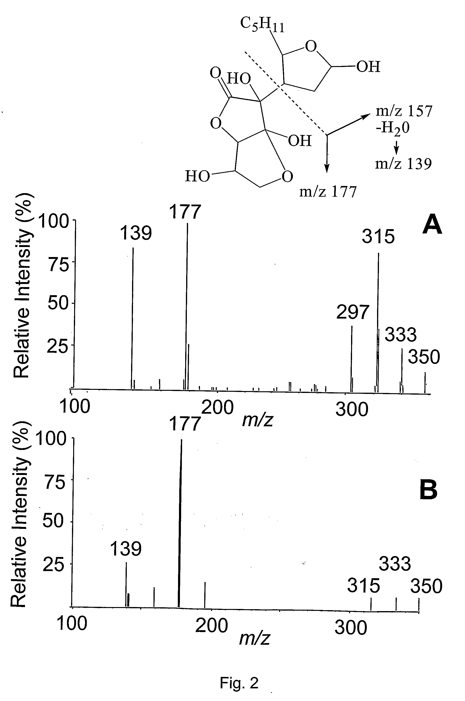 Ascorbic acid conjugates