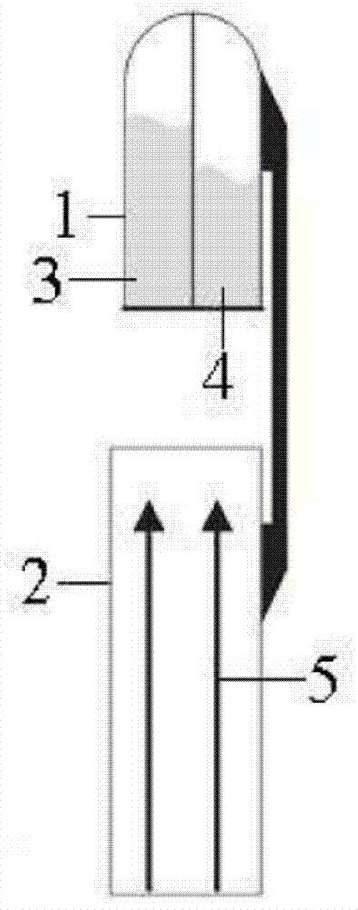 Sulfur dioxide rapid detection reagent tube and detection method thereof