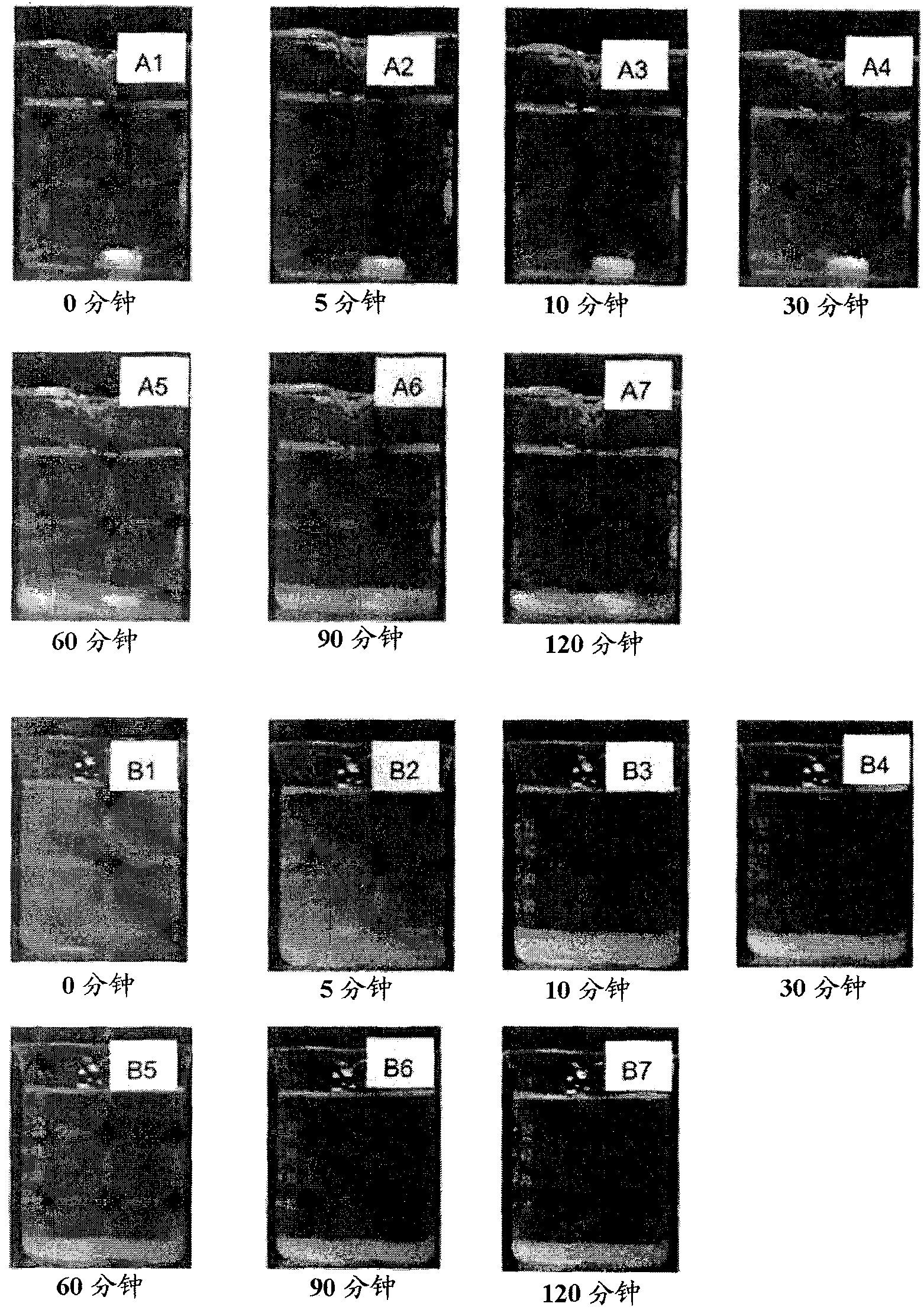 Activated metal salt flocculant and process for producing same