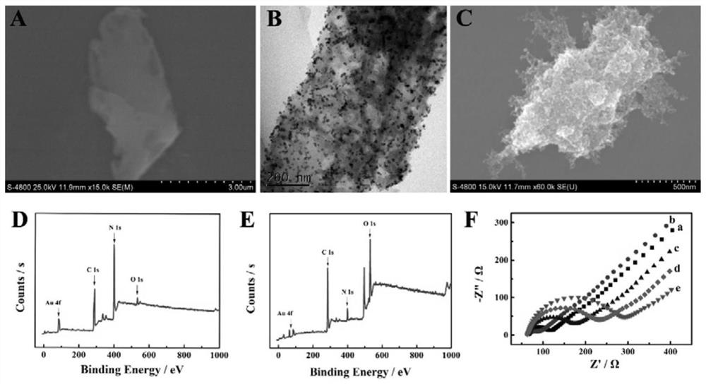 An electrochemical immunosensor and preparation method, electrochemical immunoassay method and kit