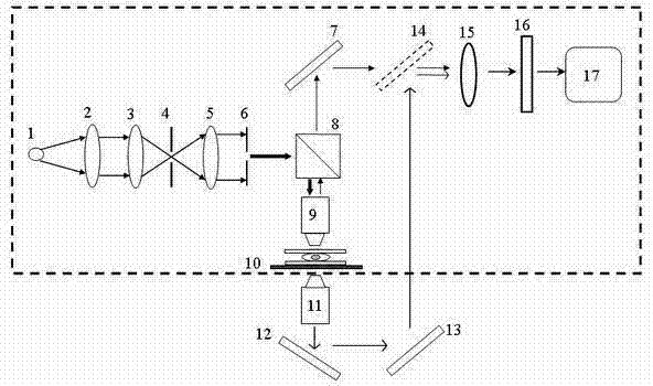 Air-space low-interference phase microscope based on liquid crystal tunable filter