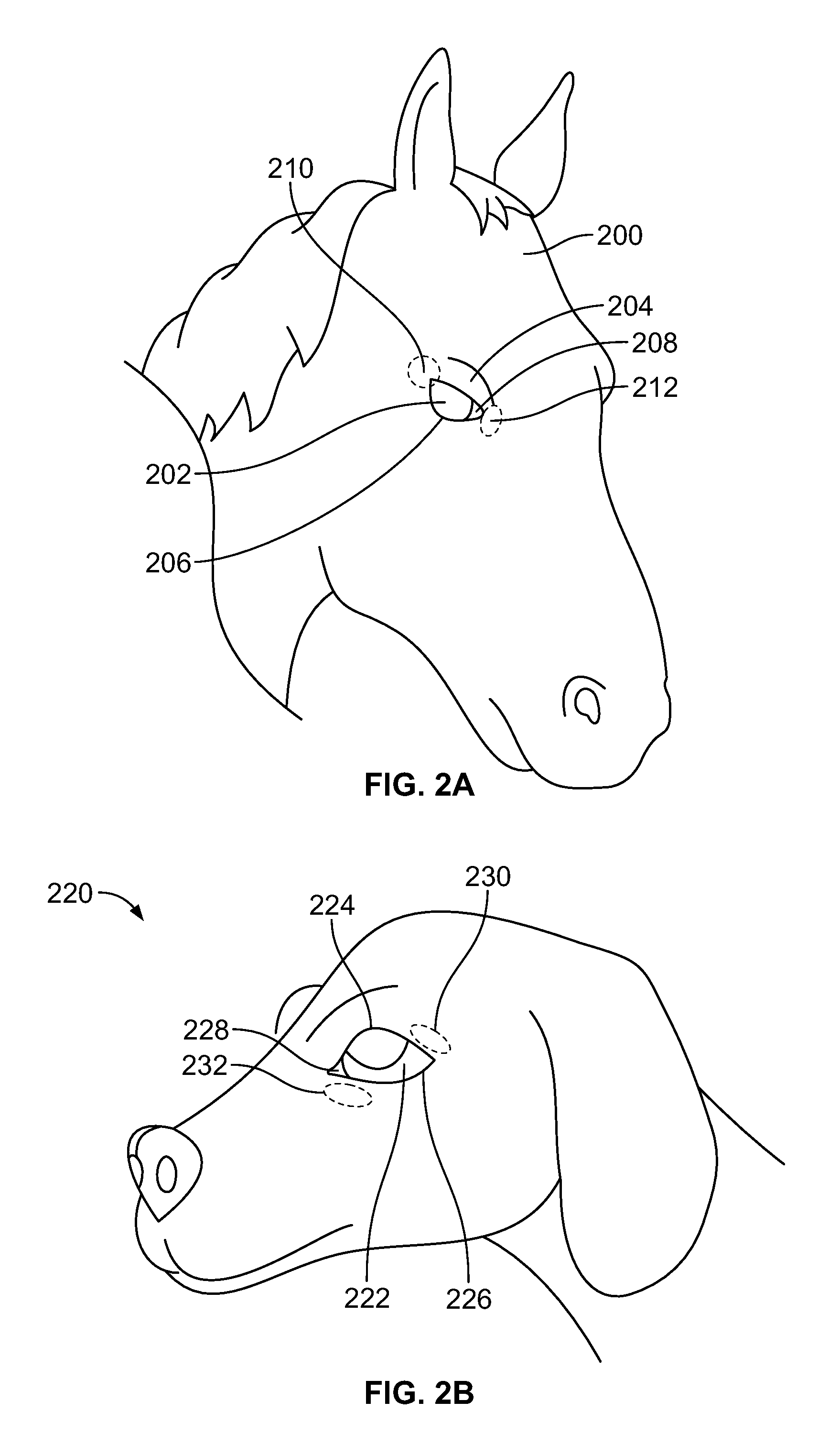 Devices and methods for treating dry eye in animals
