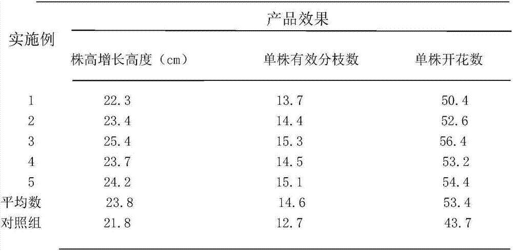 High-efficiency organic fertilizer for plantation and preparation method thereof
