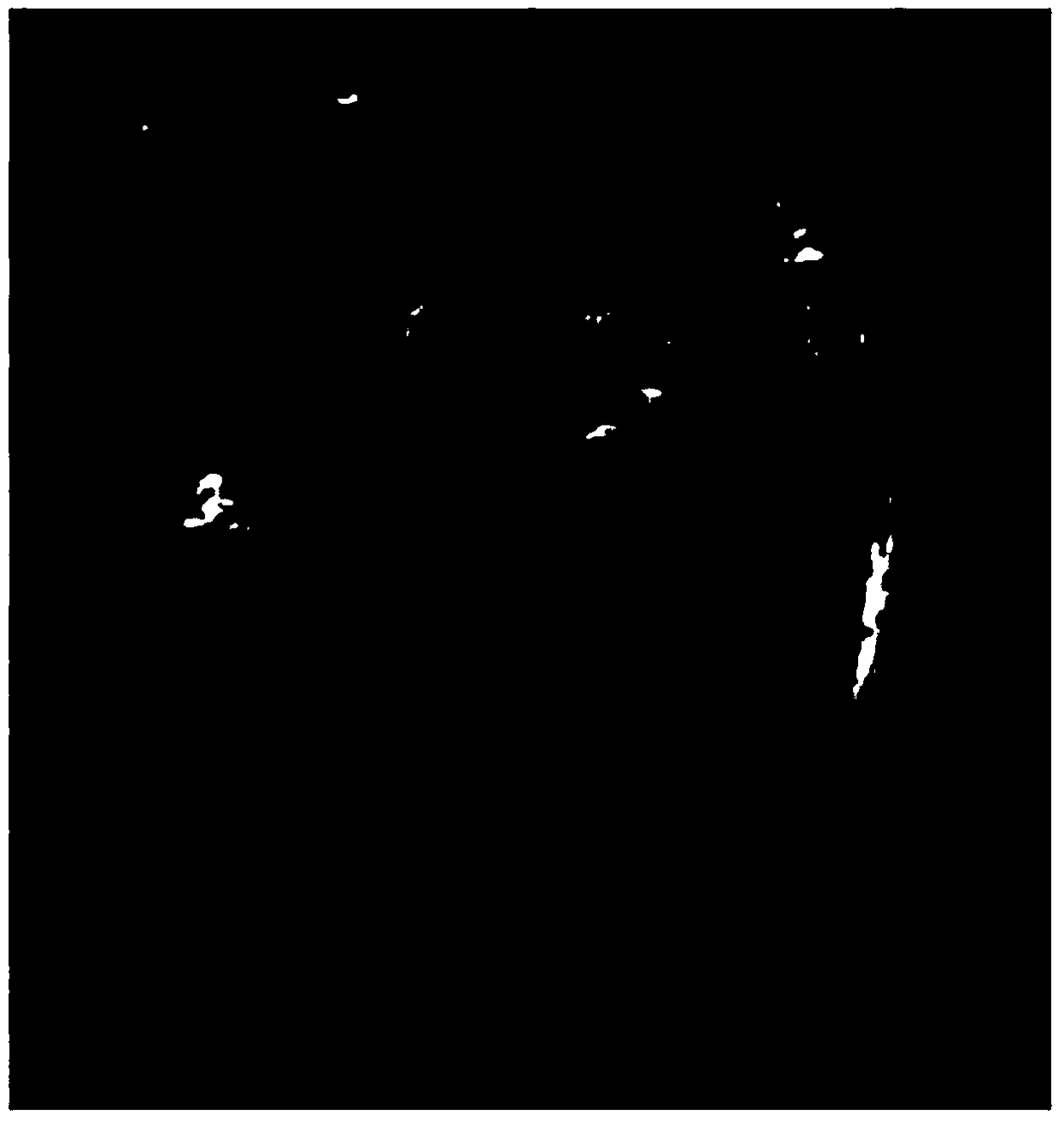 Preparation method of diamond surface coated Ni-W-P metal plating layer