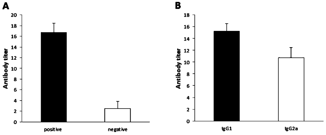 Adhesive antigen ssust3_1962 of Streptococcus suis serotype 3 and its preparation method and application