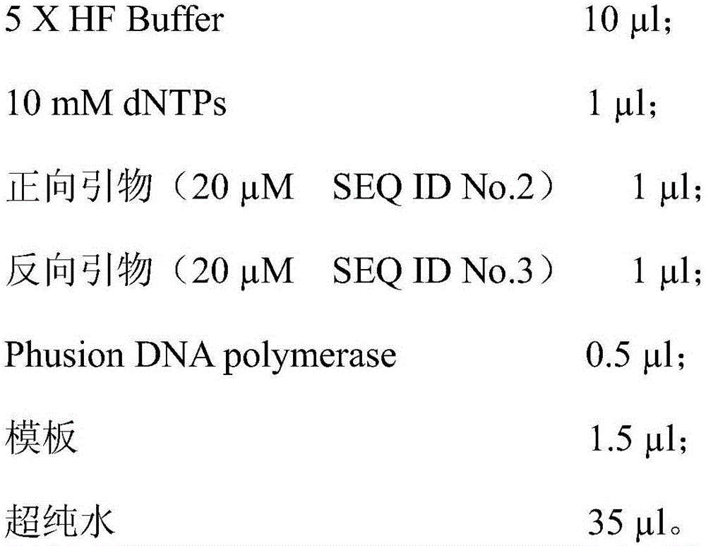Method for regulating and controlling seed size by using ERECTA gene