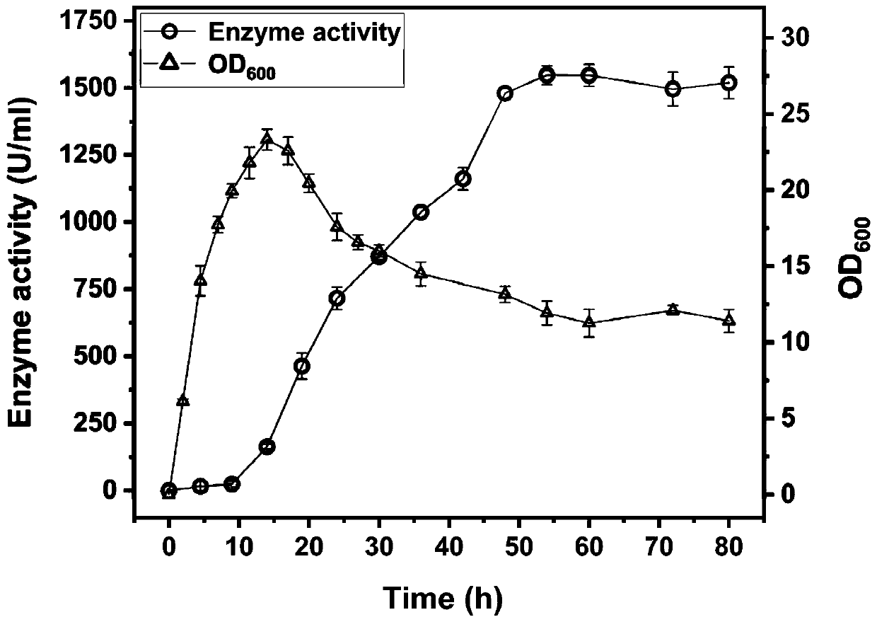 Construction and application of engineering bacteria secreting and expressing chitosan deacetylase