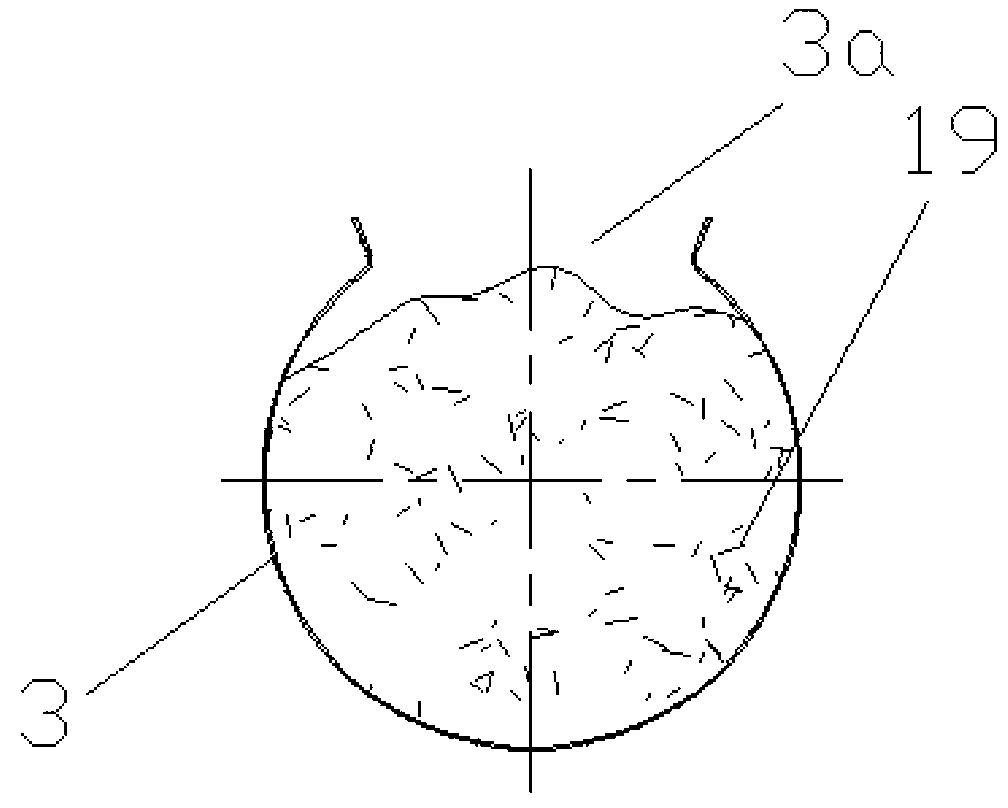 Spiral self-stirring dry fermenting device and method