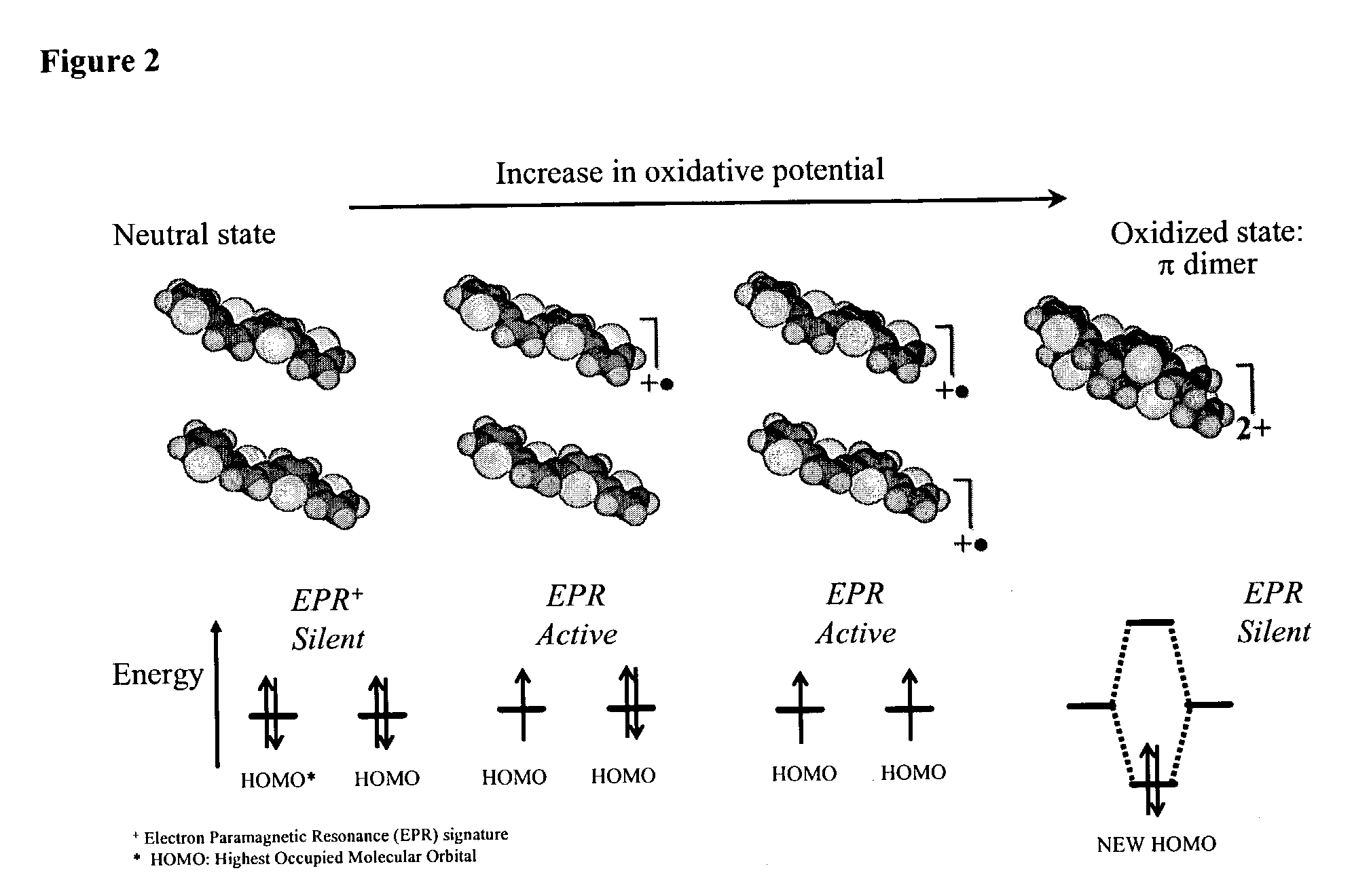 Molecular actuators, and methods of use thereof