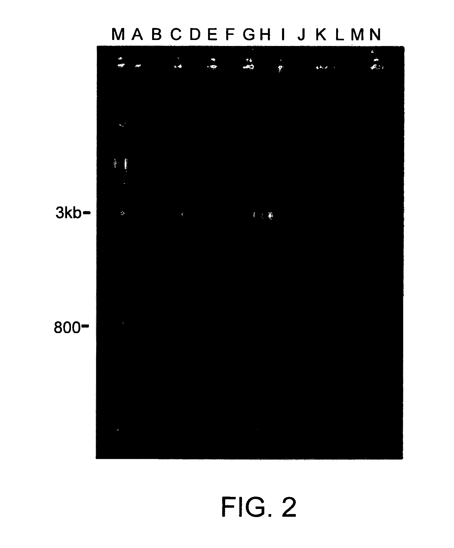 Methods using four-layer filter for PCR sample preparation