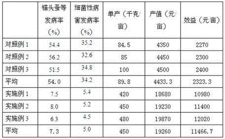 Method for ecologically cultivating siniperca chuatsi, Chinese soft-shell turtles and pelteobagrus fulvidraco in same pond