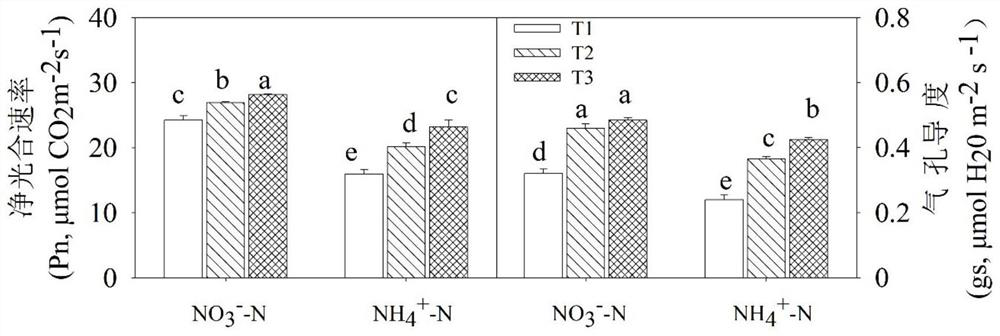 Method for relieving inhibition of high-concentration ammonium nitrogen in soil on growth of wheat at seedling stage