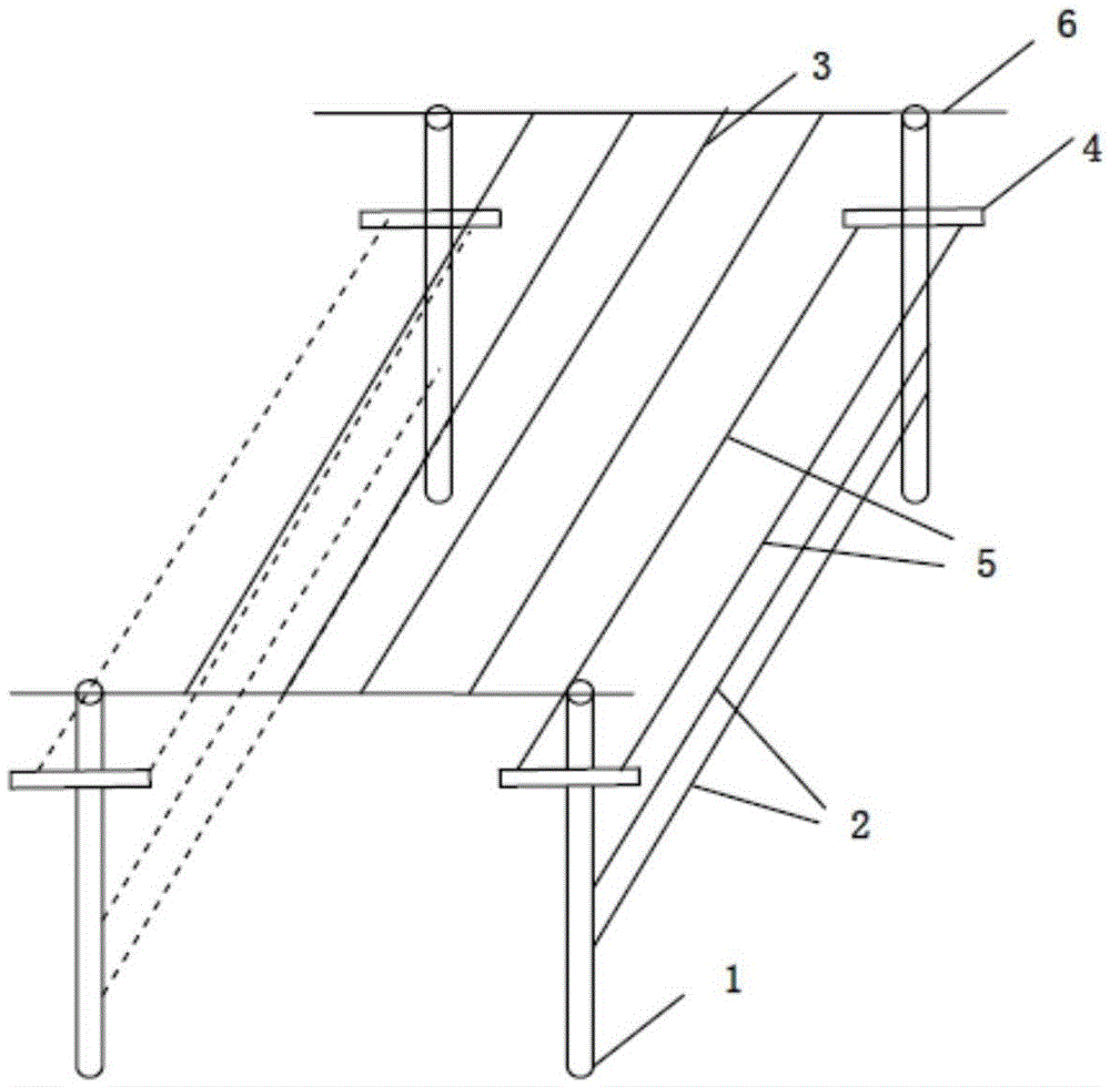 Dual-parallelism grape canopy frame and grape cultivation method suitable for soil-burying cold-proof area