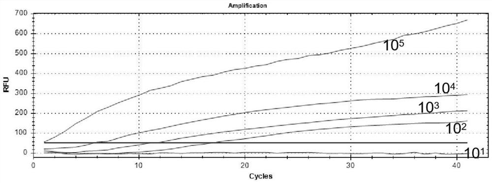 Primer pair, kit and detection method for rt-raa fluorescence detection of porcine epidemic diarrhea virus n gene