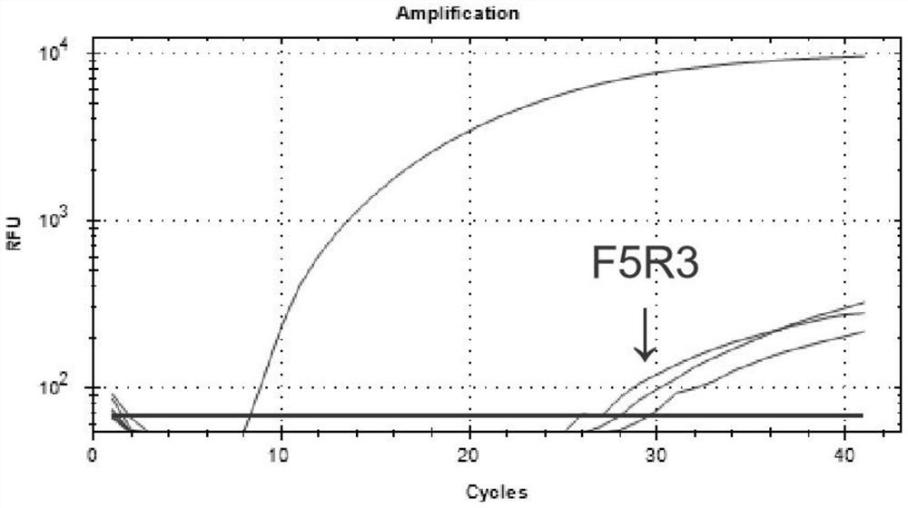 Primer pair, kit and detection method for rt-raa fluorescence detection of porcine epidemic diarrhea virus n gene