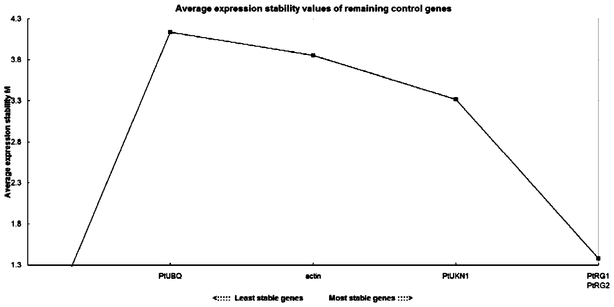 An internal reference gene related to the expression and regulation of stress-resistant genes in poplar and its application