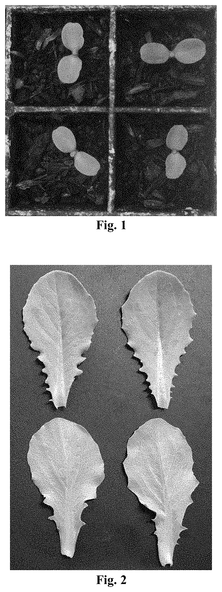 <i>Lactuca sativa </i>cultivar CVX576-1