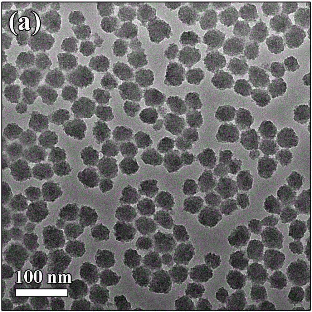 Yttrium vanadate nanoparticles, rare earth ion-doped yttrium vanadate nanoparticles and preparation method of yttrium vanadate nanoparticles and rare earth ion-doped yttrium vanadate nanoparticles