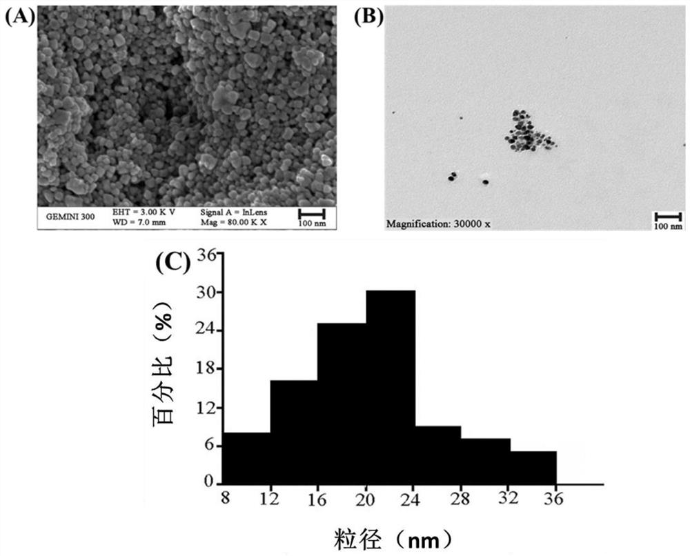 Method for preparing nano-silver particles by utilizing burdock root extracting solution, product and application